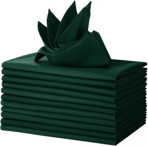 Green Polyester Napkins 12 Pack 18x18