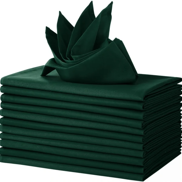 Green Polyester Napkins 12 Pack 18x18